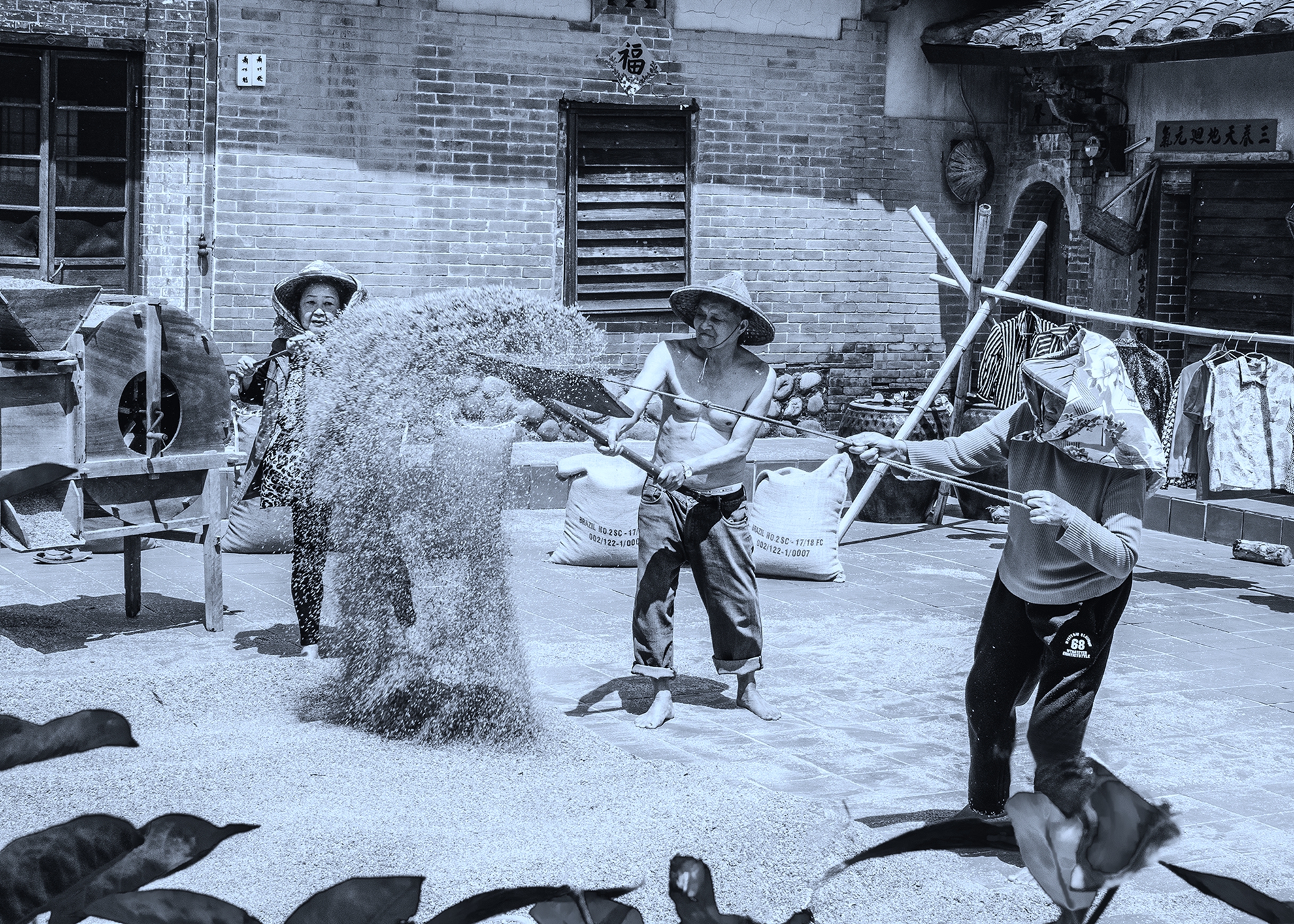 入選  農家樂10 何為今